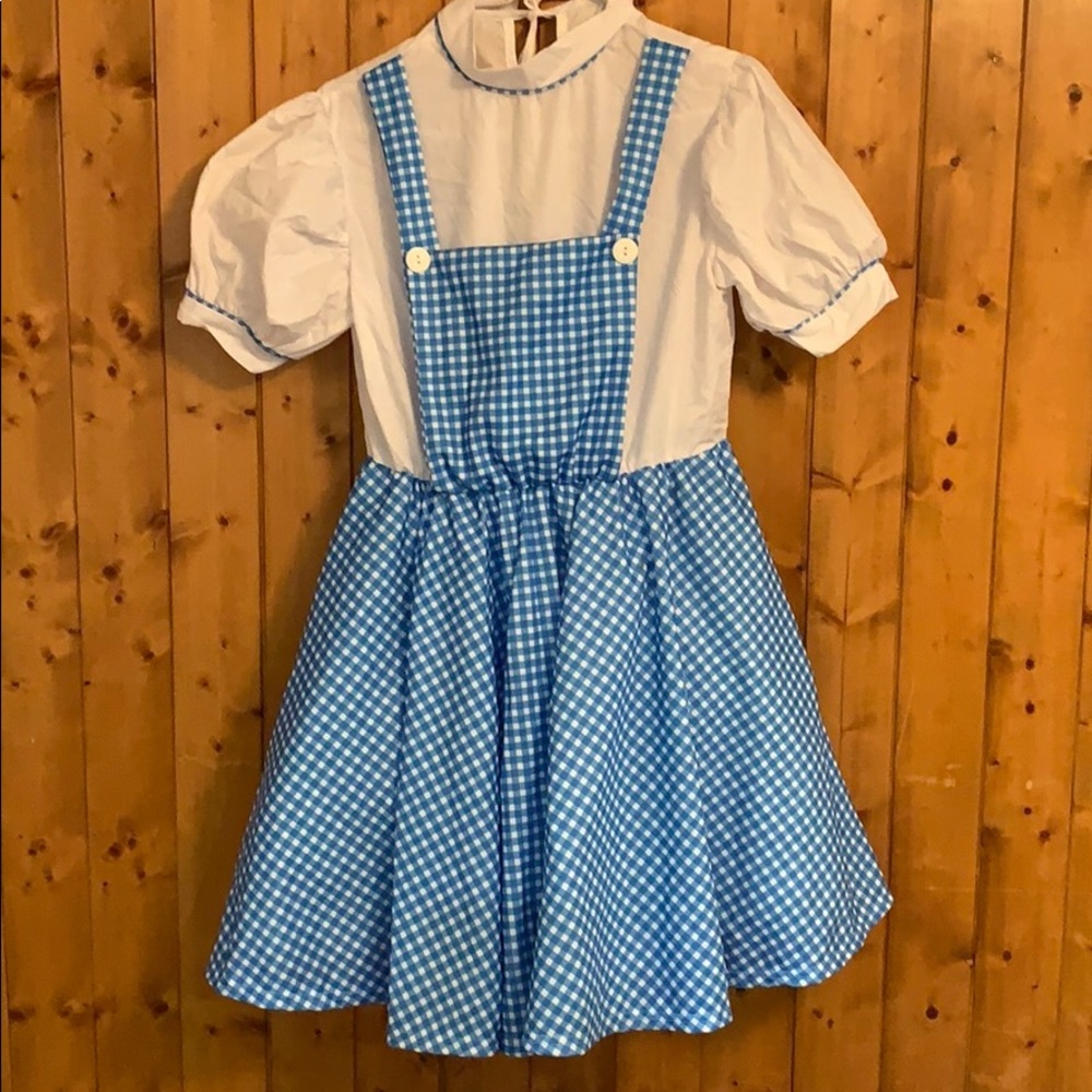 Dorothy costume with wig